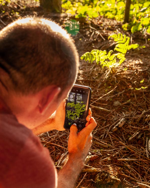 Xavier prend en photo une plante avec son smartphone dans une forêt du Pilat