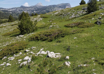 Paysage montagnard du massif du Vercors, avec le Grand Veymont en fond