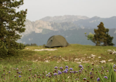 Le bivouac au printemps en Chartreuse, sur un tapis de fleurs