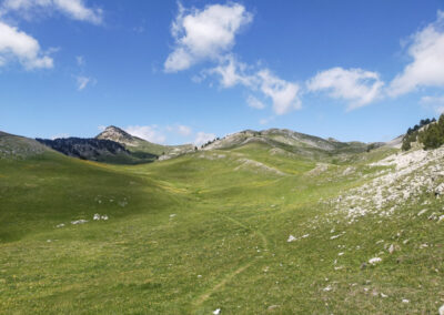 Les sentiers vert du Vercors au printemps, avec le Grand Veymont en fond